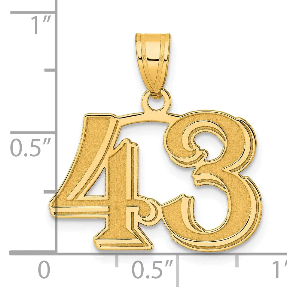 14k Yellow Gold Polished Etched Finish Number 43 Charm Pendant