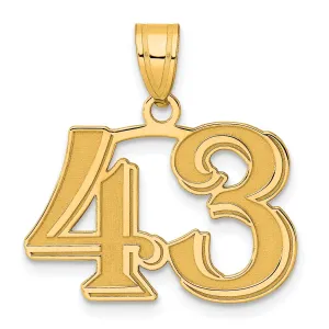 14k Yellow Gold Polished Etched Finish Number 43 Charm Pendant