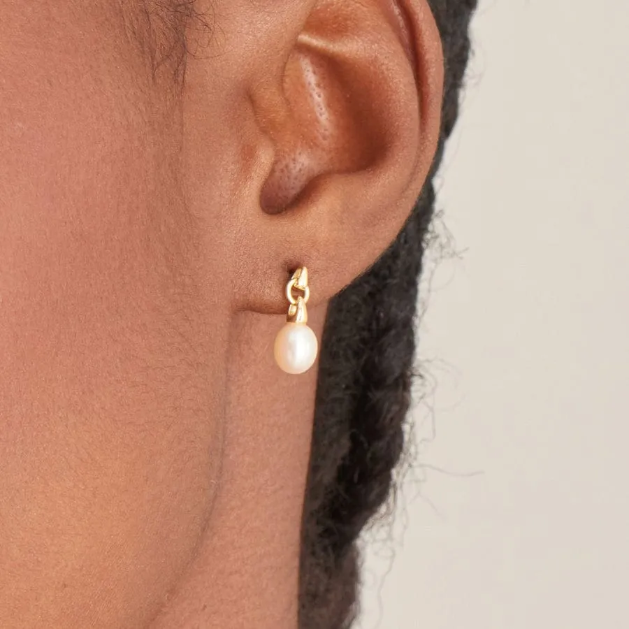 Gold Pearl Drop Stud Earrings